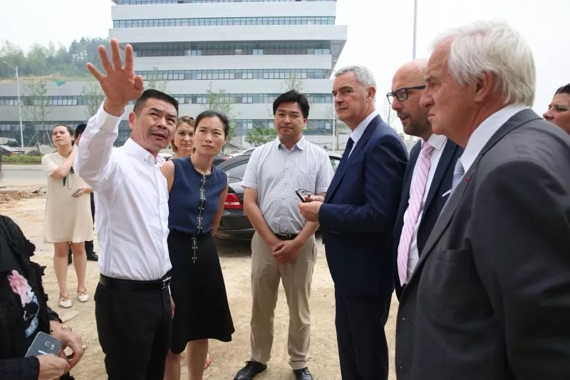 1575598298197239.jpg 4.webp.jpg