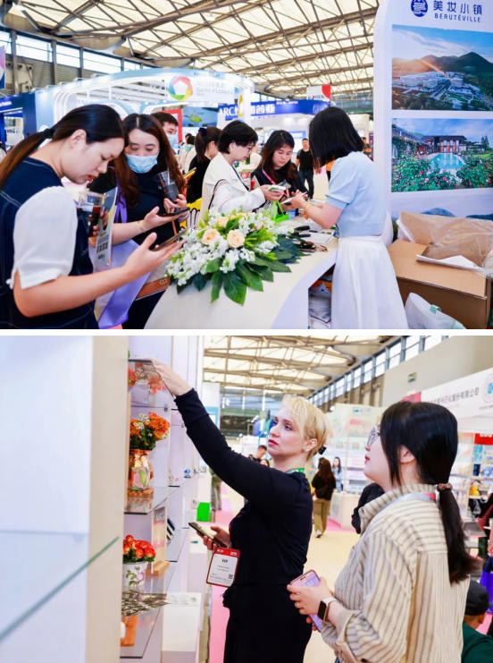 1769503050284889.jpg 9.jpg